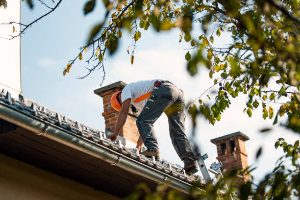 Quick and Trustworthy Emergency Roof Repair Services in Louisa, KY